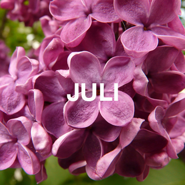 DER JULI