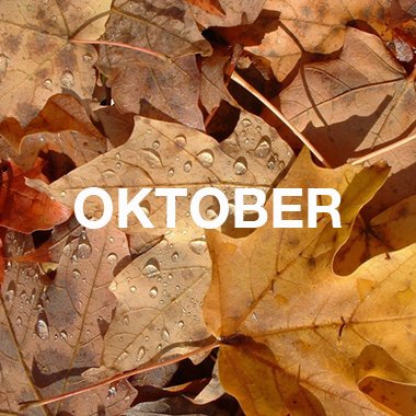 DER OKTOBER