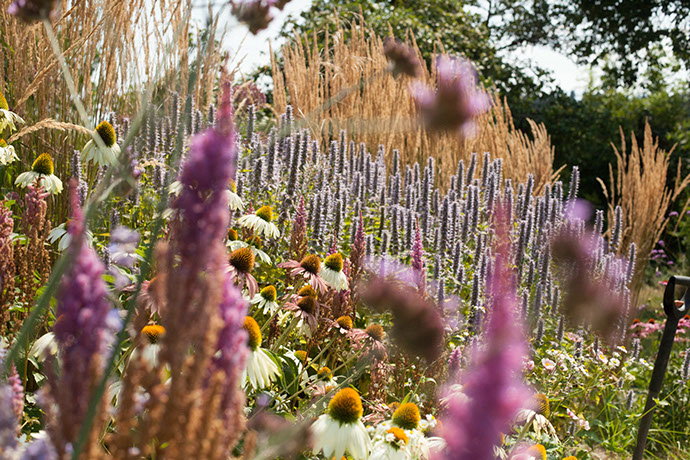 Garten-Trends, Garten-Ideen, Stauden, 